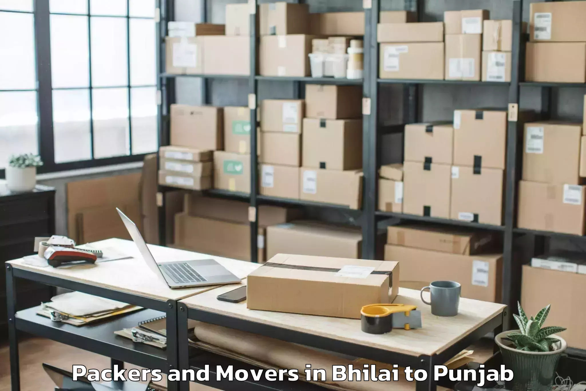 Discover Bhilai to Dasua Packers And Movers